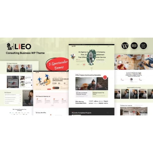 LIEO – Consulting Theme