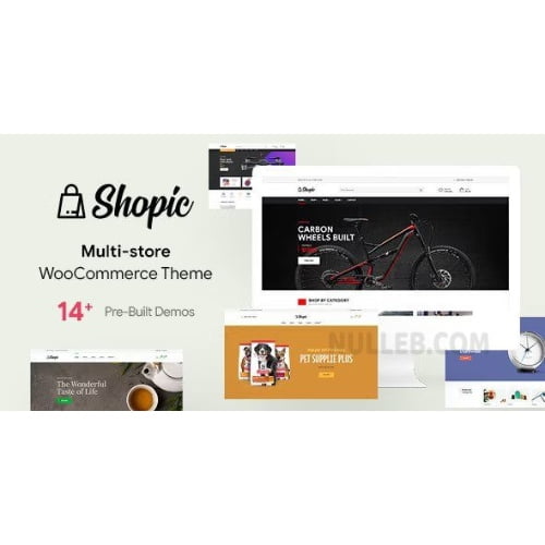 Shopic – Multistore WooCommerce WordPress Theme