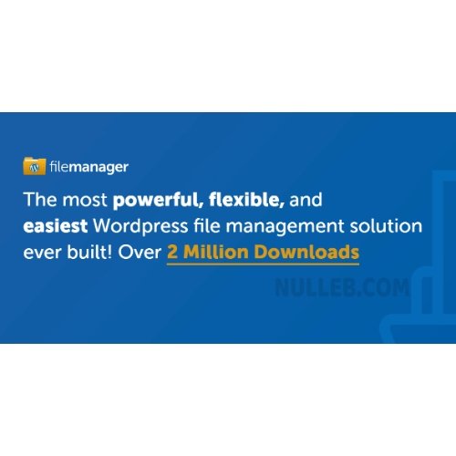 WP File Manager Pro
